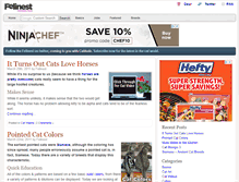 Tablet Screenshot of felinest.com